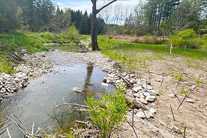 Before photo of a livestake planting of Red-osier Dogwood along Naftel’s Creek to stabilize soils.