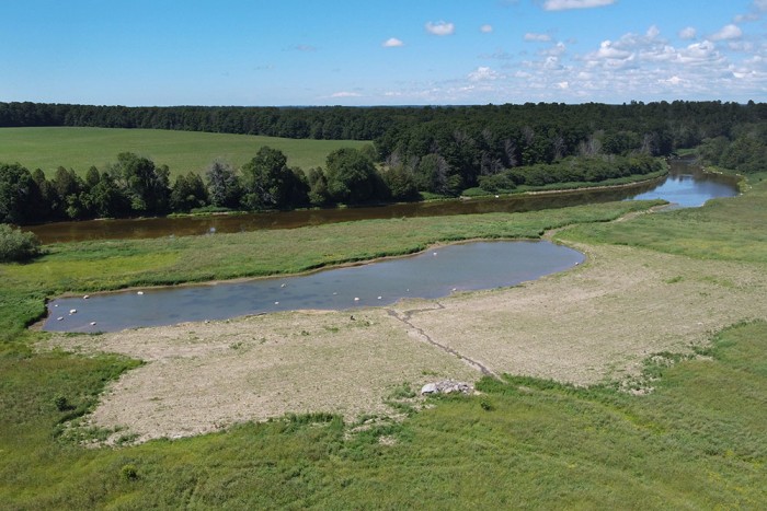 An Unmanned Aerial Vehicle (UAV) aerial phot of the wetland and retired pasture from above in June 2024.