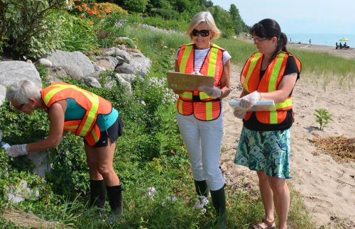Shown in photo, from left to right, are Sandy Scotchmer, Kate Lloyd-Rees, and Erica Clark, volunteers who are helping to collect water quality monitoring samples in the Bayfield area