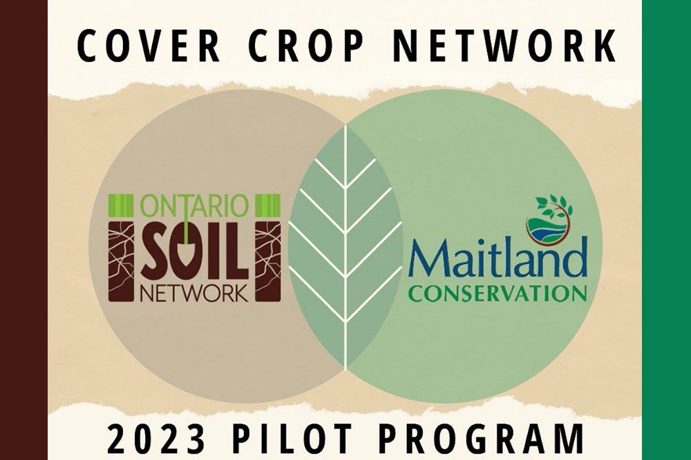 Cover_Crop_Network_1000_px.jpg