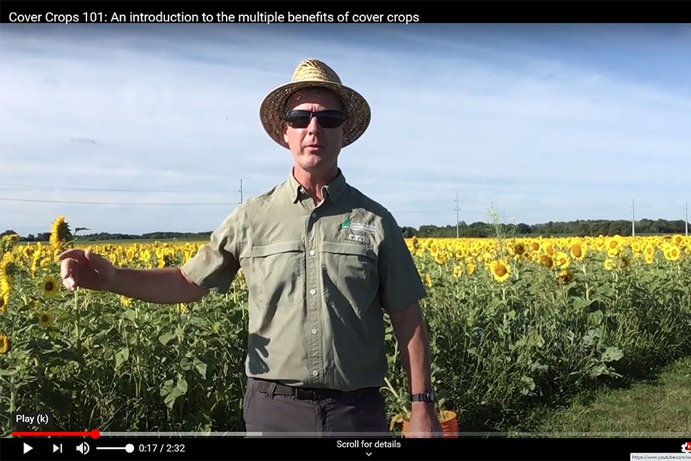 Ross Wilson, MSC; PAg; CCA-ON; Water and Soils Resource Coordinator, Ausable Bayfield Conservation, talks about the many benefits of cover crops and 'service crops.'