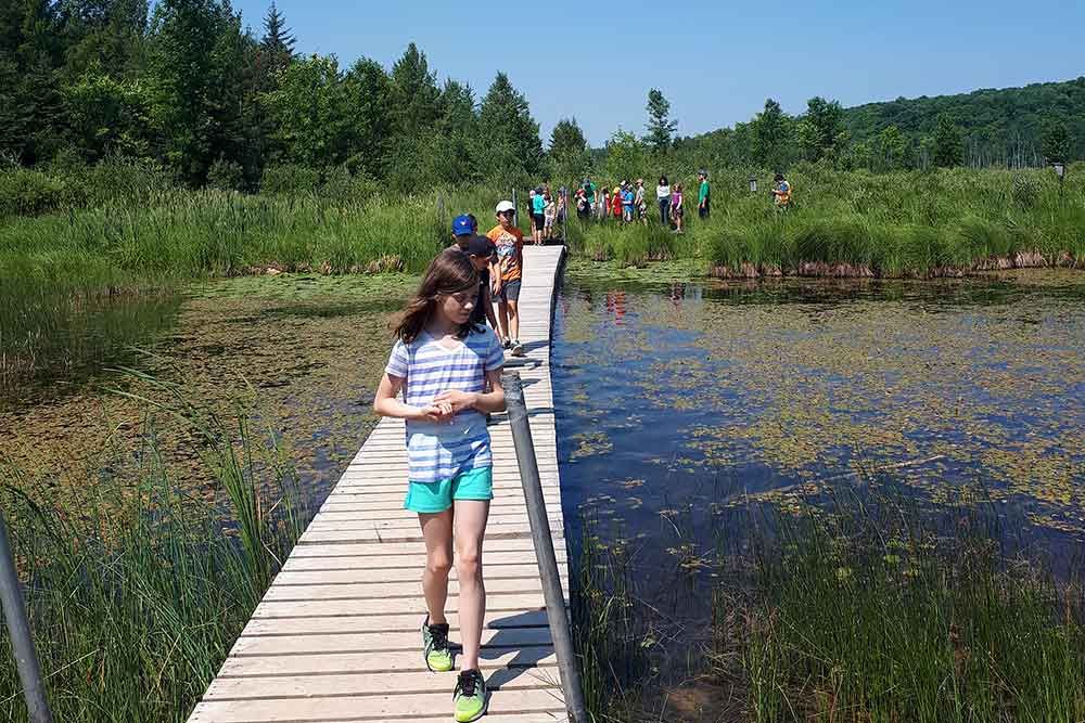 A file photo of a student walking across a dock at a wetland.