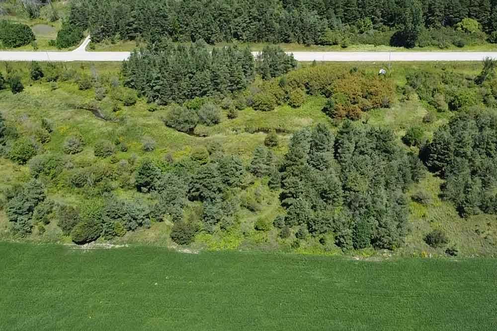 A photo of McLarty Environmental Study Area.