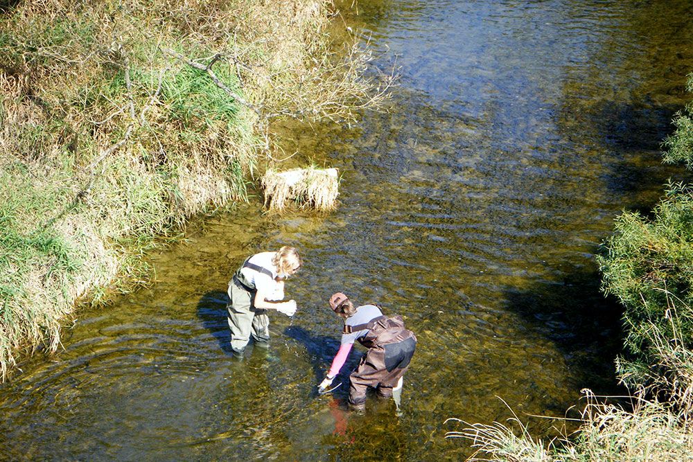 Environmental monitoring staff take water samples.