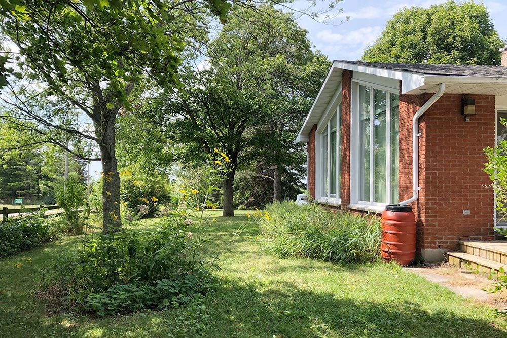 A photo showing rain garden and rain barrel.